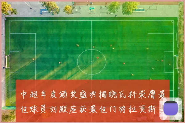 中超年度颁奖盛典揭晓瓦科荣膺最佳球员刘殿座获最佳门将拉莫斯当选最佳教练