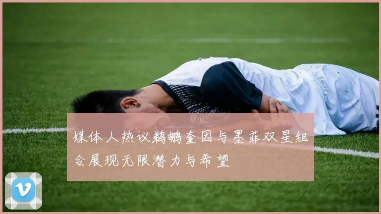 媒体人热议鹈鹕奎因与墨菲双星组合展现无限潜力与希望