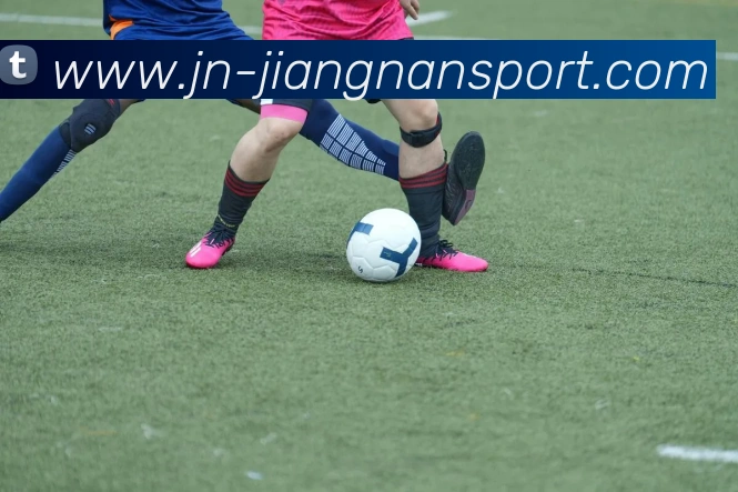 江南体育平台生态图